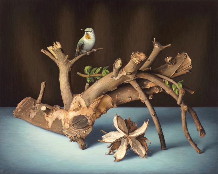 Patricia Chidlaw, Chinese Elm and Cotton Husk, 2016