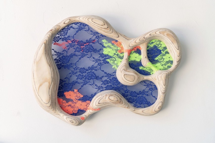 ELISA ORTEGA MONTILLA, Lacescape VII, 2021