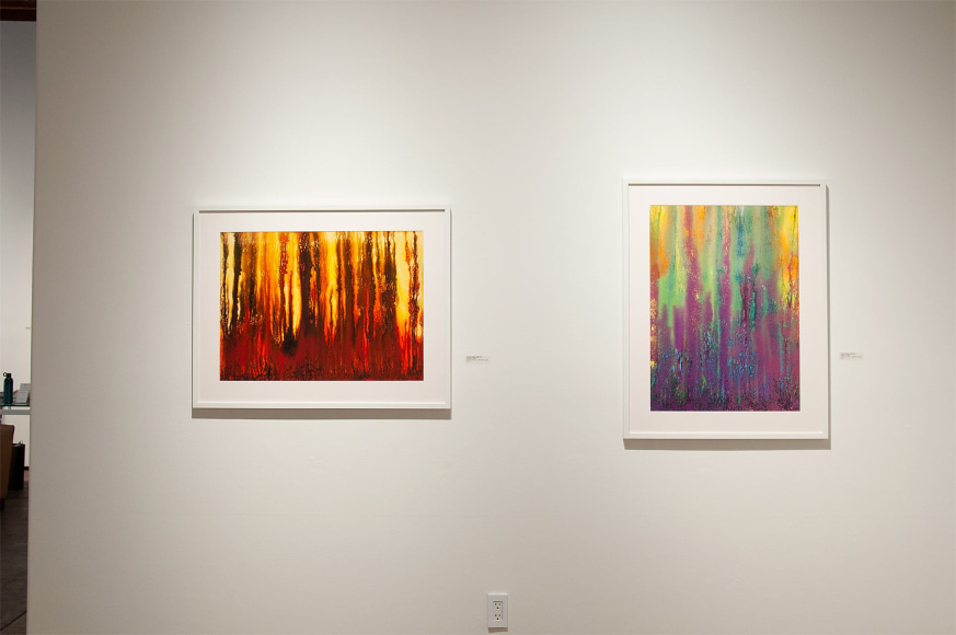 Installation photograph of THE INCREDIBLE TRUE STORY OF HARVEY LEEPA