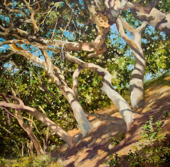 ROBIN GOWEN , Dance of Oaks, 2018