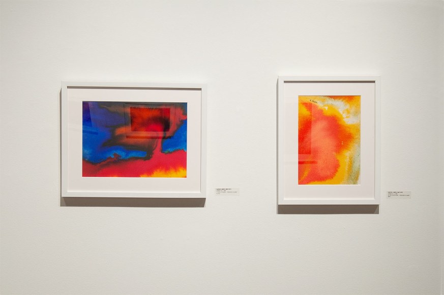 Installation photograph of THE INCREDIBLE TRUE STORY OF HARVEY LEEPA