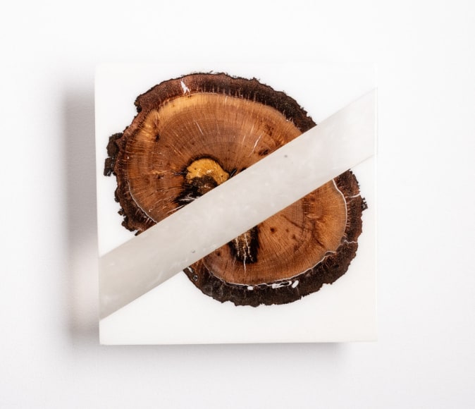 R. NELSON PARRISH , Vista IV - I, 2021