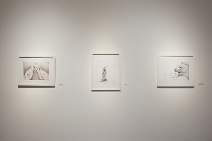 Contemporary Bear Area Artists Installation photograph, Adonna Khare