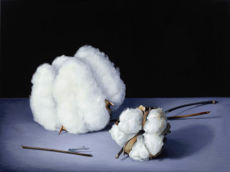 Susan McDonnell, Cotton and Damsel Fly, 2015