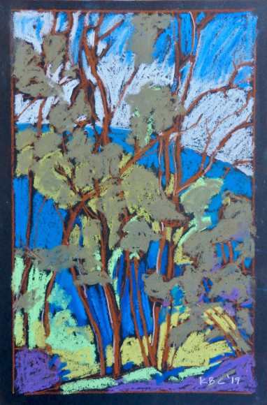 KIT BOISE-COSSART , Eucalyptus Before the Rain, 2019