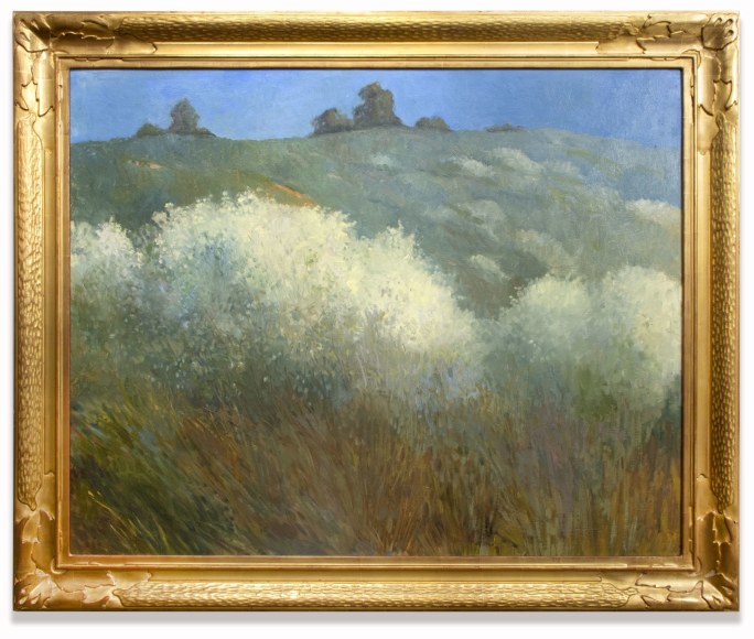 MEREDITH BROOKS ABBOTT , Grand White Ceonothus, 2022