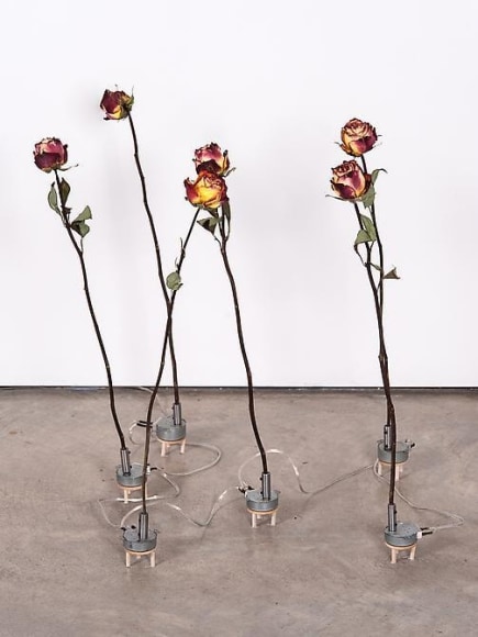 Transitional:  Curated by Mar&iacute;a Iovino