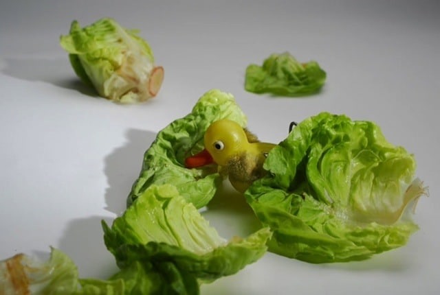 Liliana Porter, Matin&eacute; / Matinee, 2009. 