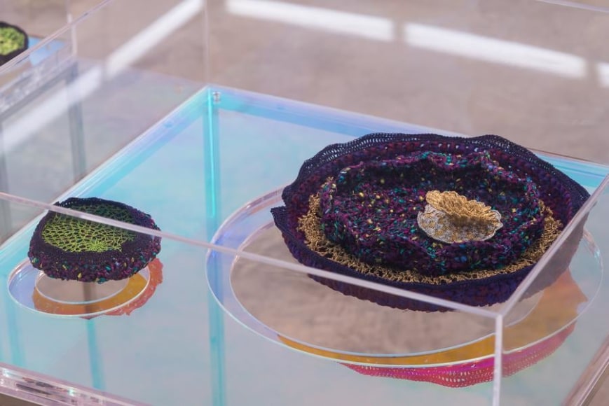 Ana Maria Tavares, Euryale Amazonica, Installation view, 2014.