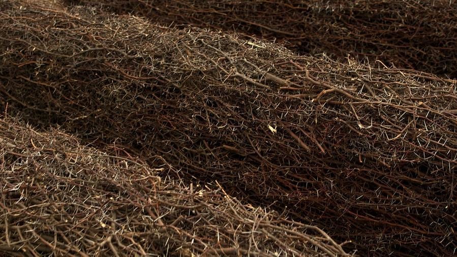 Miguel Angel R&iacute;os, Untitled N&ordm; 16 from the Endless series (Edition of 3 + 2AP), 2015. Inkjet print on 300 gr. Hahnem&uuml;hle cotton paper, and dibond, 15 1/2 x 27 1/2 in.