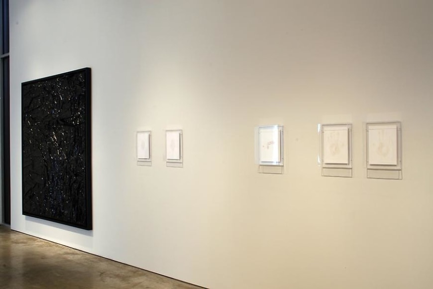 Gabriel de la Mora, Sicardi Gallery installation view, 2009