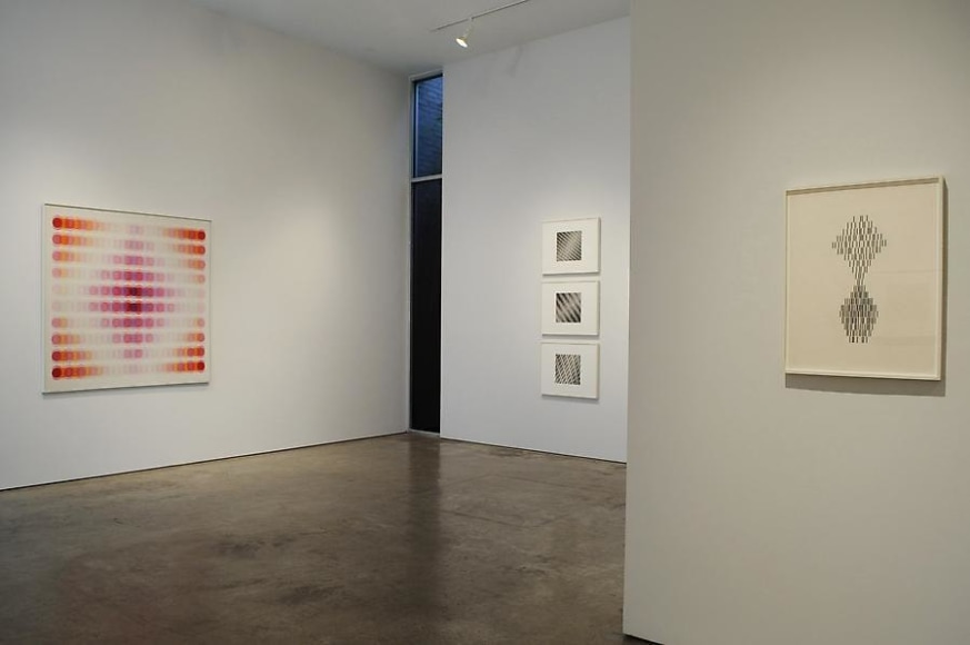 Manuel Espinosa, Sicardi Gallery installation view, 2010