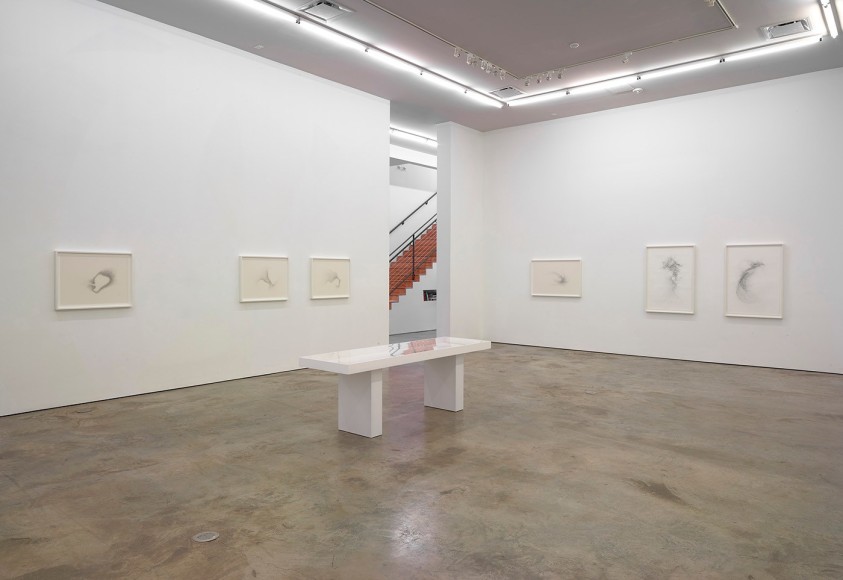 Installation view of Gustavo D&iacute;az: Confronting Silence at Sicardi | Ayers | Bacino, 2022.