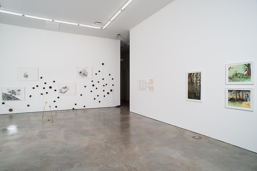 Transitional:  Curated by Mar&iacute;a Iovino