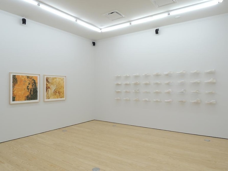 Clarissa Tossin, Study for a Landscape, Installation view, 2013.