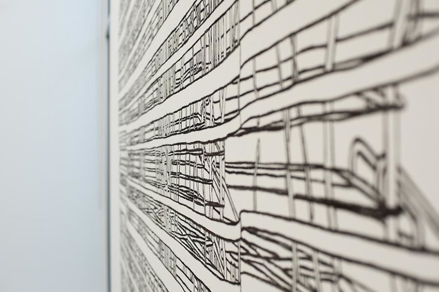 Pablo Siquier, Structure, Installation view, 2013.