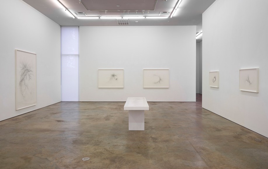 Installation view of Gustavo D&iacute;az: Confronting Silence at Sicardi | Ayers | Bacino, 2022.