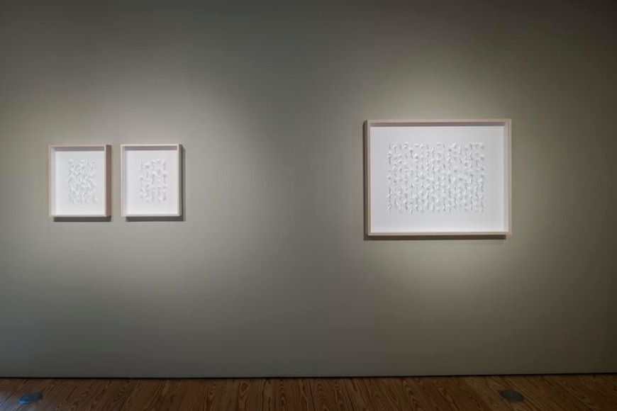 Gabriel de la Mora, Crystals of Inevidence, 2017