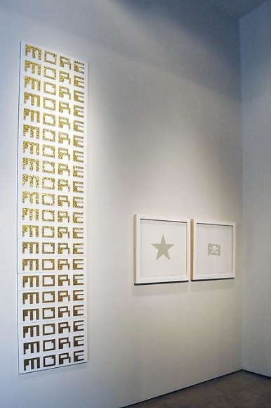 Miguel Angel Rojas: At the Edge of Scarcity, Sicardi Gallery installation view, 2011