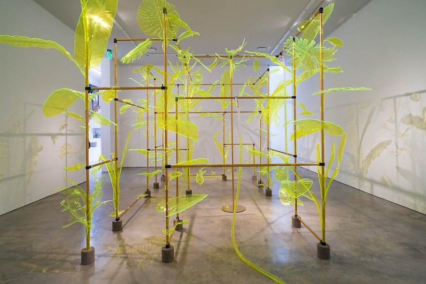 Thomas Glassford, Afterglow, Installation view, 2014.