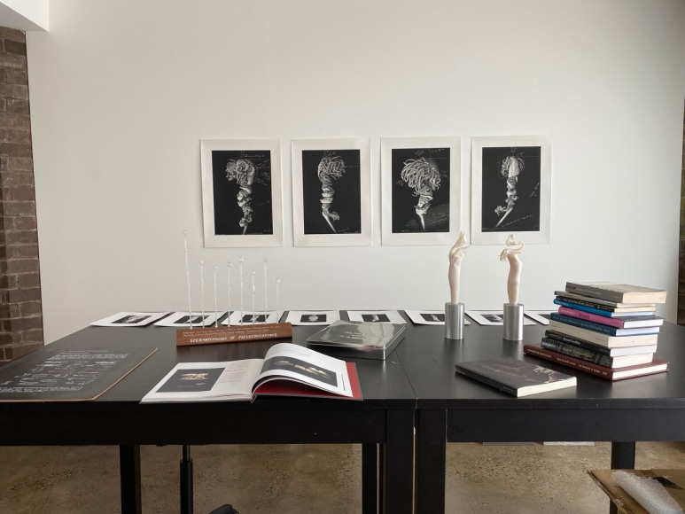 Maria Fernanda Cardoso&#039;s studio, Sydney, Australia, 2019.