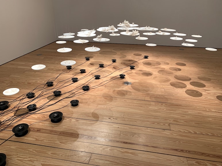 Gustavo D&iacute;az, Architecture of Murmurs, 2019. Cut out paper, varible dimensions