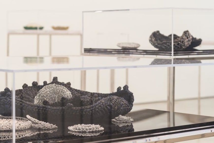 Ana Maria Tavares, Euryale Amazonica, Installation view, 2014.