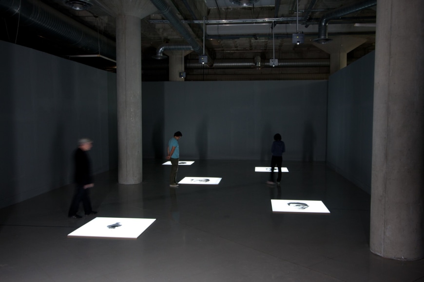 Exhibition&nbsp;Oscar Mu&ntilde;oz: Documentos de la Amensia, Museo Extremeno e Iberoamericano de Arte Contemporaneo [MEIAC], Spain, 2008.