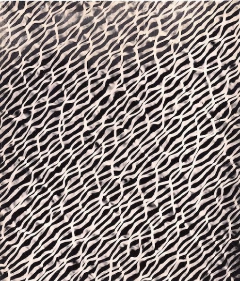 Untitled, c. 1964-1965. Photogram. 8 1/4 x 7 1/4 in. (21 x 18.4 cm.)