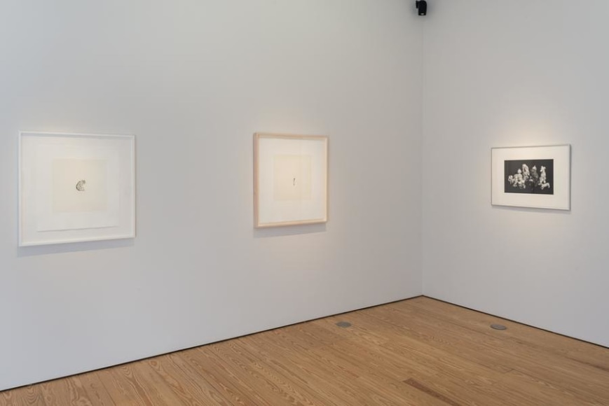 Liliana Porter, To See Gold and other prints, Installation view, 2015.