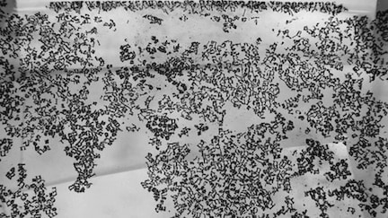 Oscar Mu&ntilde;oz, Distop&iacute;a (Edition of 5+2 AP), 2014. Video: FHD single channel / no sound, 15 minutes