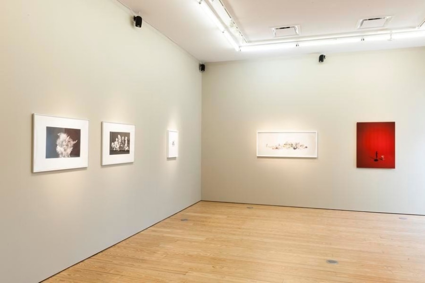 Liliana Porter. The Order of Things and Other Works. Sicardi Gallery, 2017