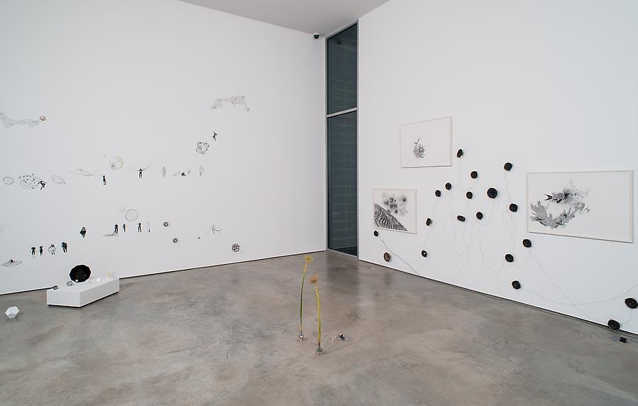 Transitional:  Curated by Mar&iacute;a Iovino