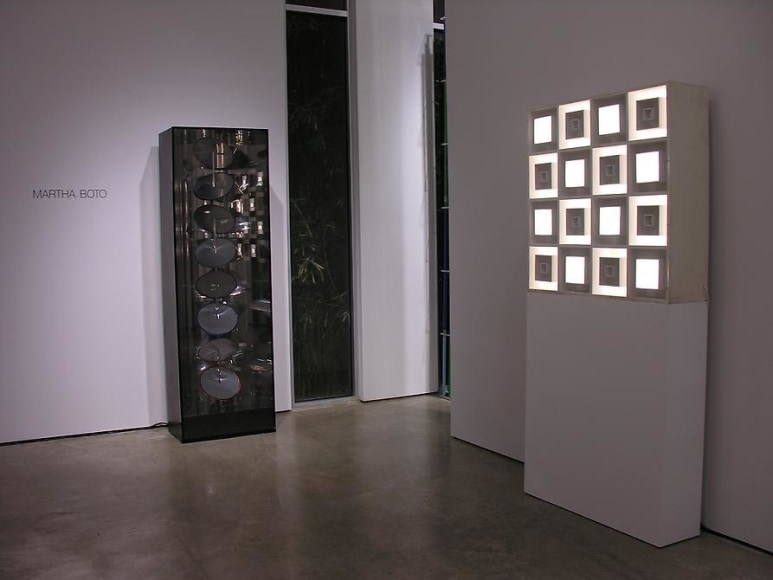 Martha Boto, Gregorio Vardanega, Sicardi Gallery installation view, 2007