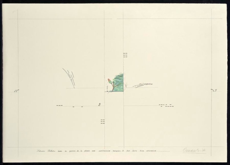 Marie Orensanz, belladone, 1976. Acrylic and mixed media, 19 11/16 in. x 27 9/16 in.