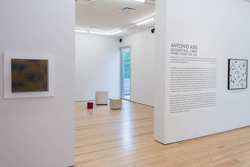Antonio Asis, Geometr&iacute;a Libre, Installation view, 2014.