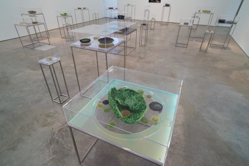 Ana Maria Tavares: Euryale Amazonica. Sicardi Gallery installation view. October 30 - December 20, 2014.