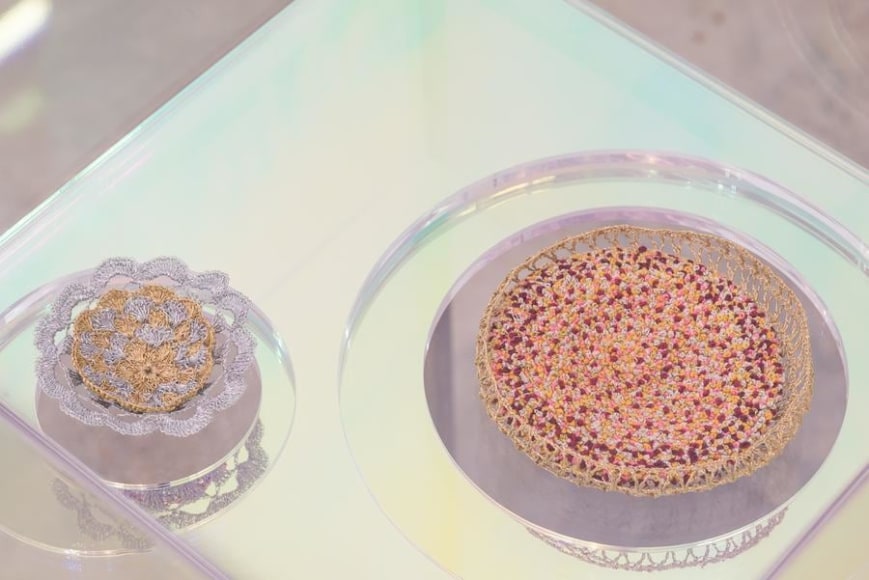 Ana Maria Tavares, Euryale Amazonica, Installation view, 2014.