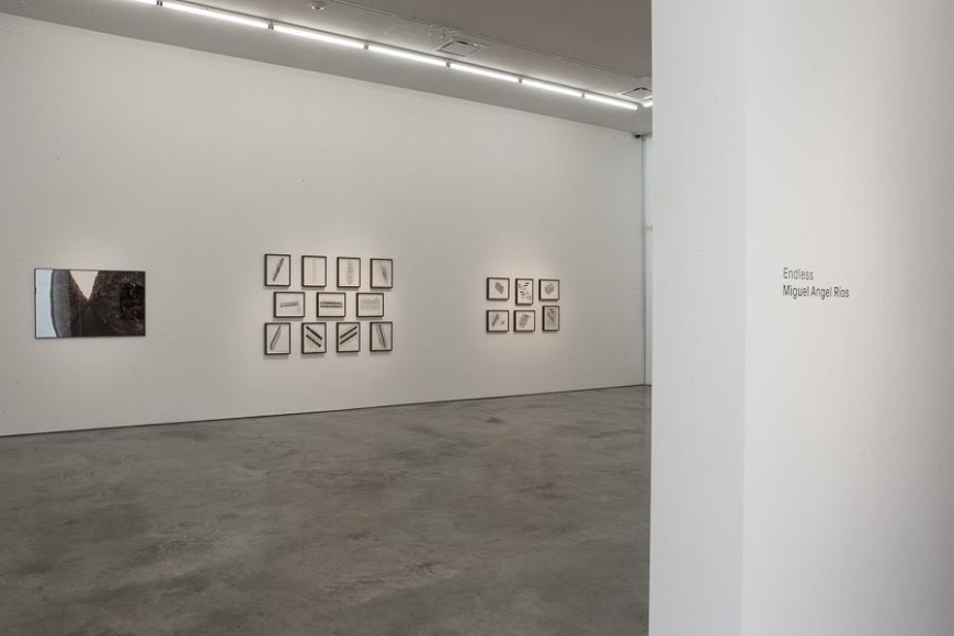 Miguel Angel R&iacute;os, Endless, Installation view, 2015.
