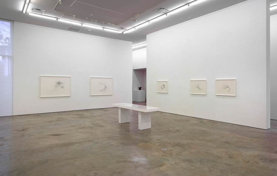 Installation view of Gustavo D&iacute;az: Confronting Silence at Sicardi | Ayers | Bacino, 2022.