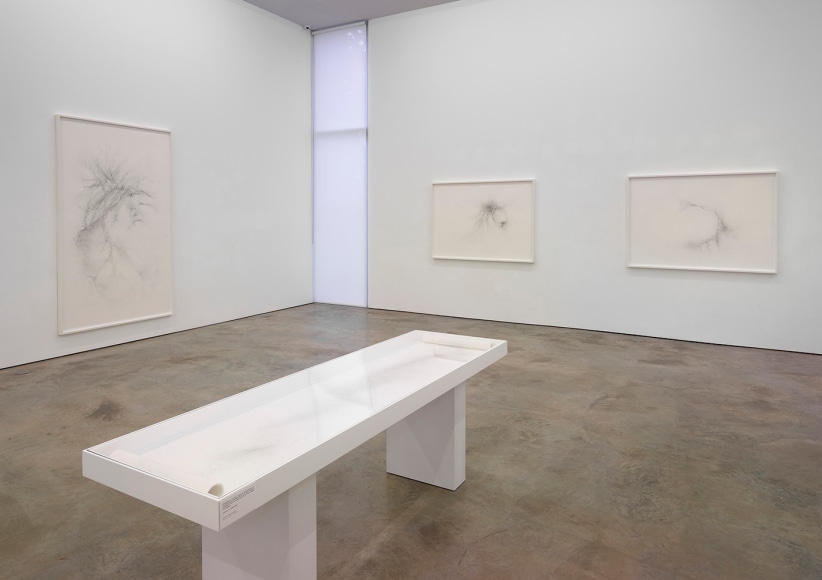Installation view of Gustavo D&iacute;az: Confronting Silence at Sicardi | Ayers | Bacino, 2022.