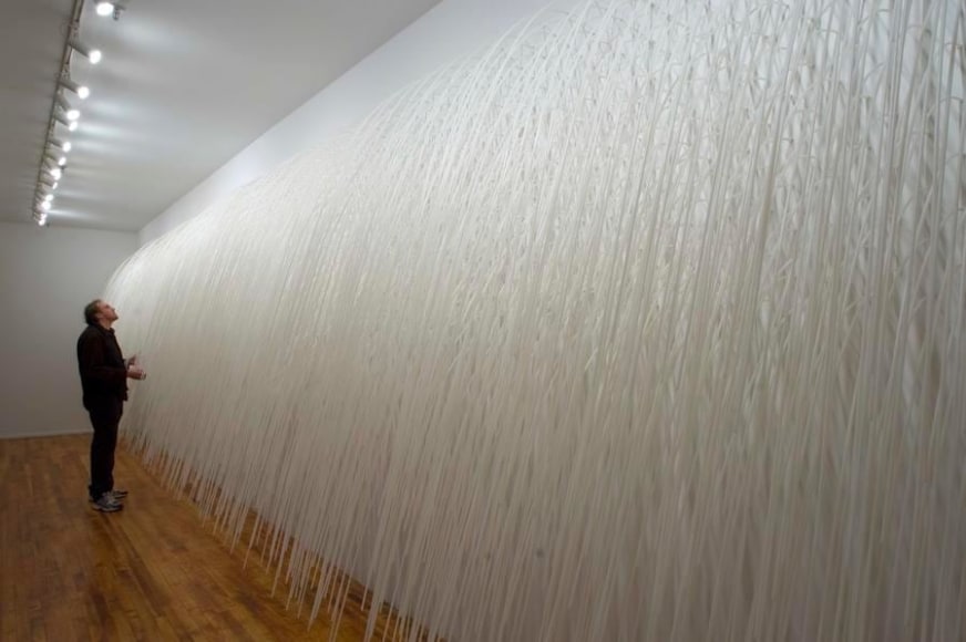 Maria Fernanda Cardoso Rain Wall, Chelsea Museum 2007