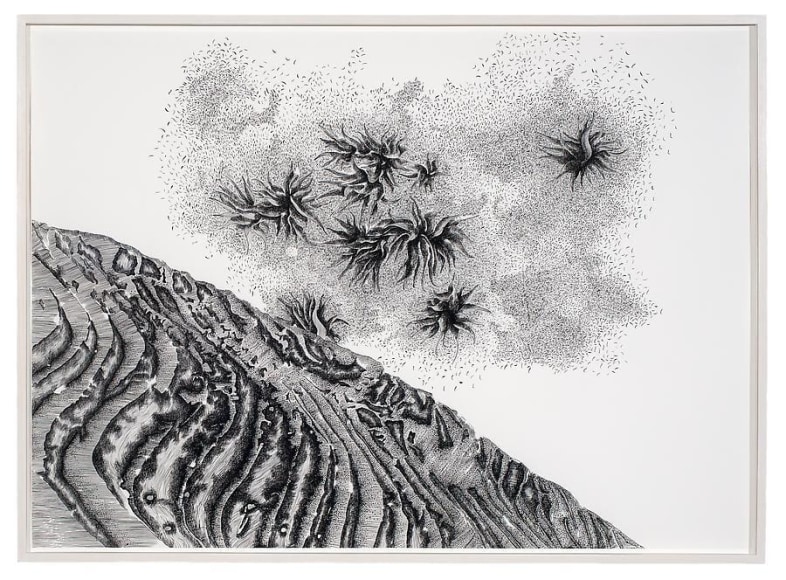 Luisa Roa, Untitled, The Elephant Journey Series, 2012, Ink on paper, 27&quot; x 38&quot;