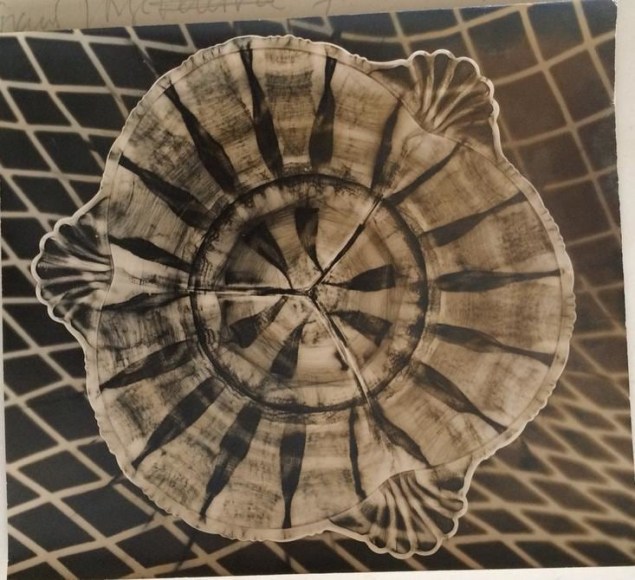 Untitled, 1964. Photogram. 7 27/32 x 7 3/32 in. (20 x 18 cm.)