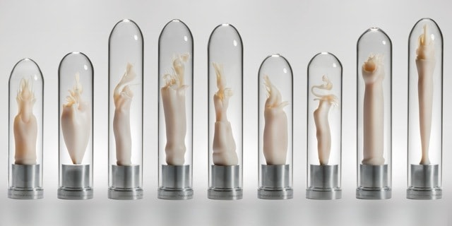 Maria Fernanda Cardoso, Intromittent organs of Tasmanian harvestman modeled after electronic microscope scans, Suite of 9, 2008-2009. Resin, glass, metal, 11 in. x 2.4 in. x 2.4 in. Each piece is unique.