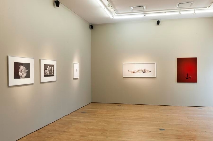 Liliana Porter. The Order of Things and Other Works. Sicardi Gallery, 2017