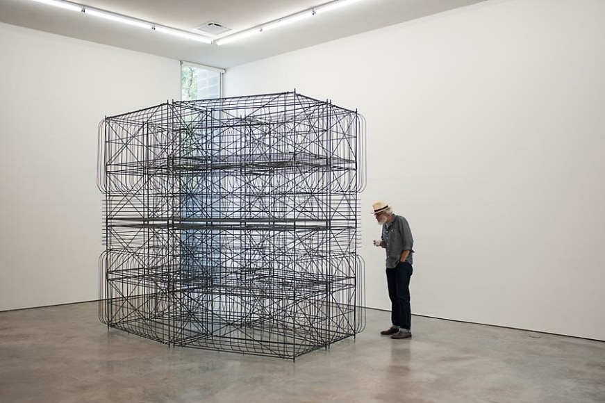 Pablo Siquier, Structure, Sicardi Gallery installation view, 2013.