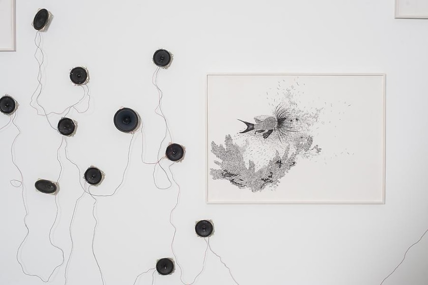 Transitional:  Curated by Mar&iacute;a Iovino