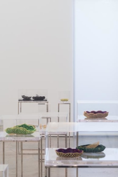 Ana Maria Tavares: Euryale Amazonica. Sicardi Gallery installation view. October 30 - December 20, 2014.