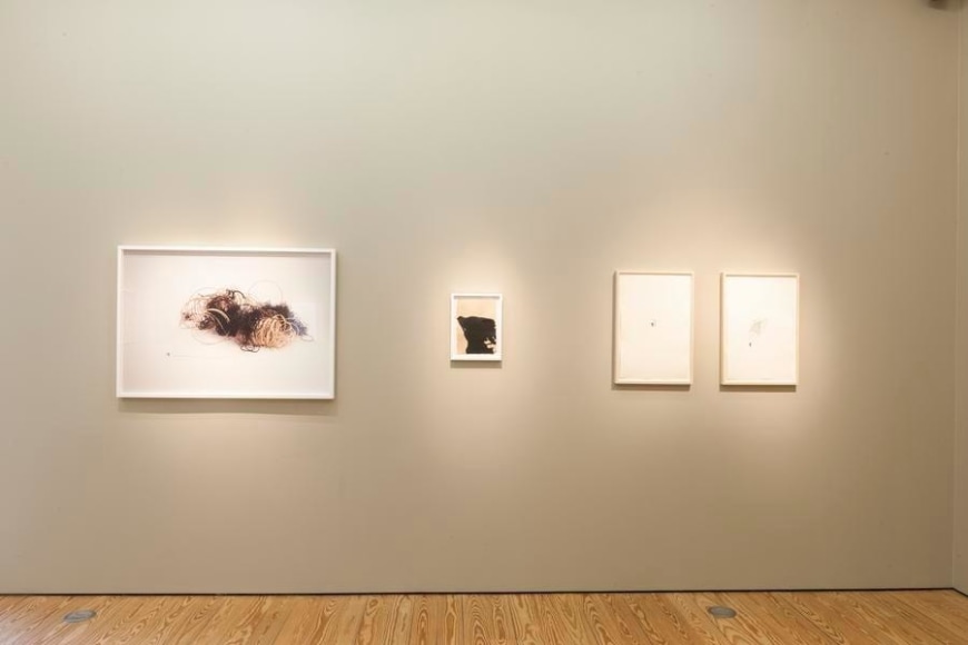 Liliana Porter. The Order of Things and Other Works. Sicardi Gallery, 2017